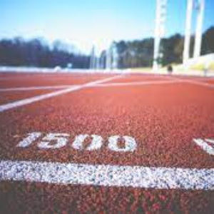 Meet your Posher, Scarlett